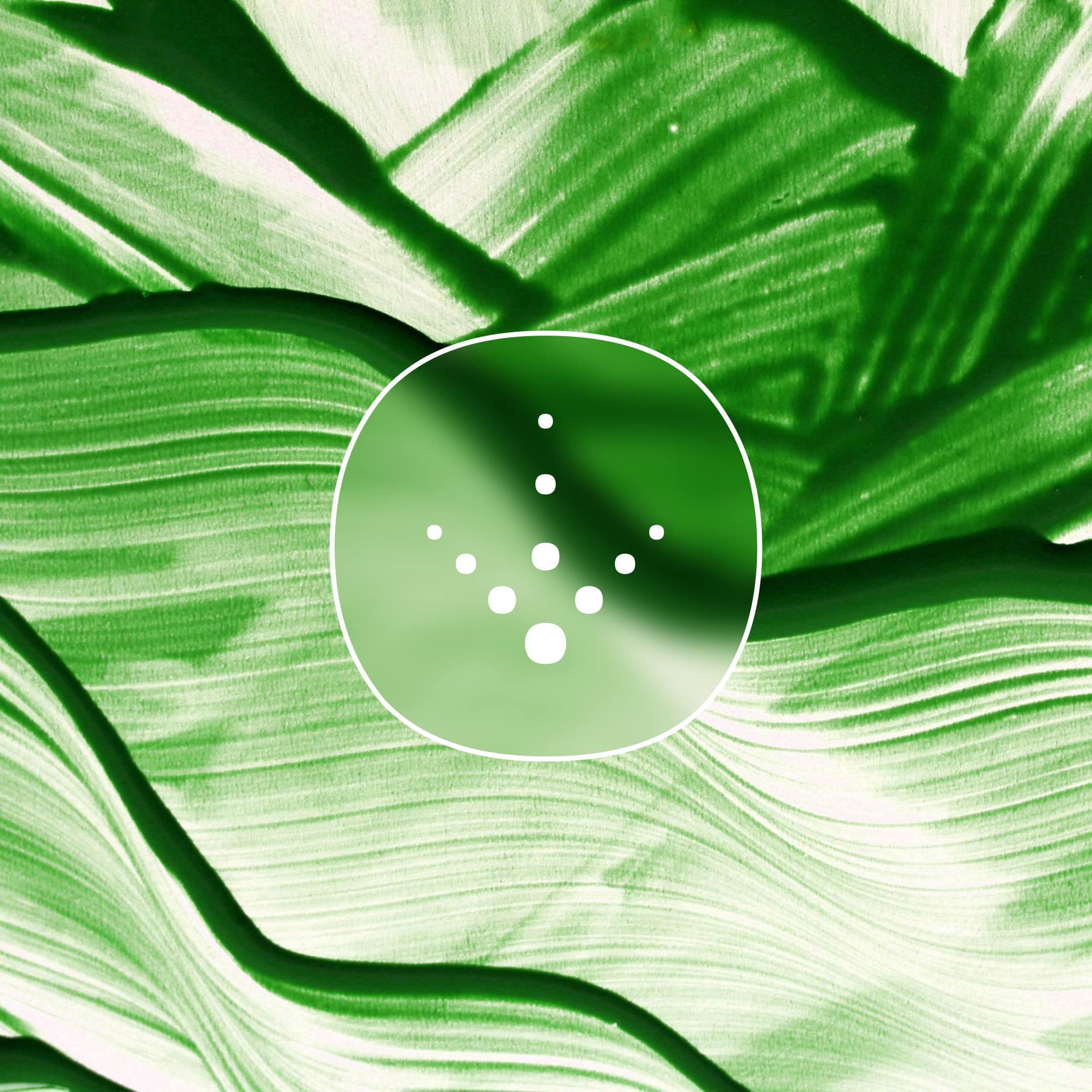 Punto Energy integrado en el flujo operativo del sujeto delegado